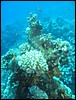 IMG_4351.JPG