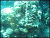 IMG_4353.JPG