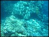 IMG_4358.JPG