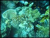 IMG_4359.JPG