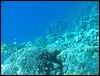 IMG_4360.JPG
