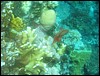 IMG_4363.JPG
