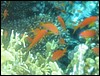 IMG_4364.JPG