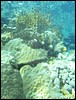 IMG_4366.JPG