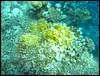 IMG_4367.JPG