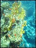 IMG_4369.JPG