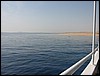 IMG_4371.JPG