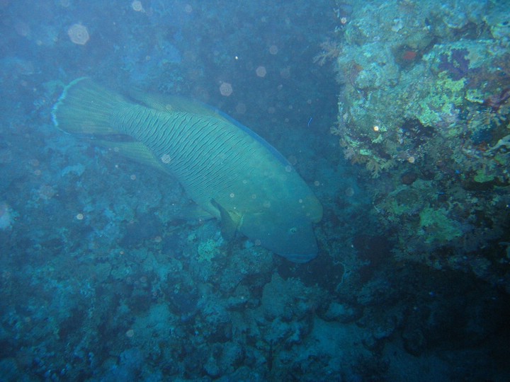 IMG_4385.JPG