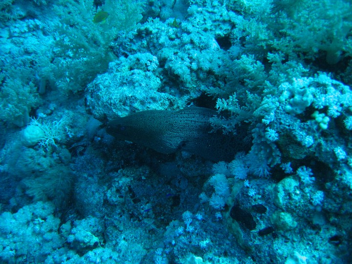 IMG_4388.JPG