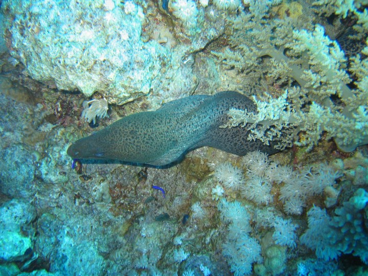 IMG_4389.JPG