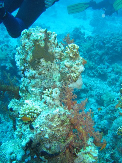 IMG_4395.JPG
