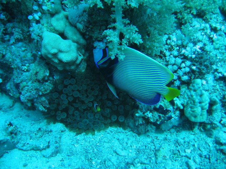 IMG_4398.JPG
