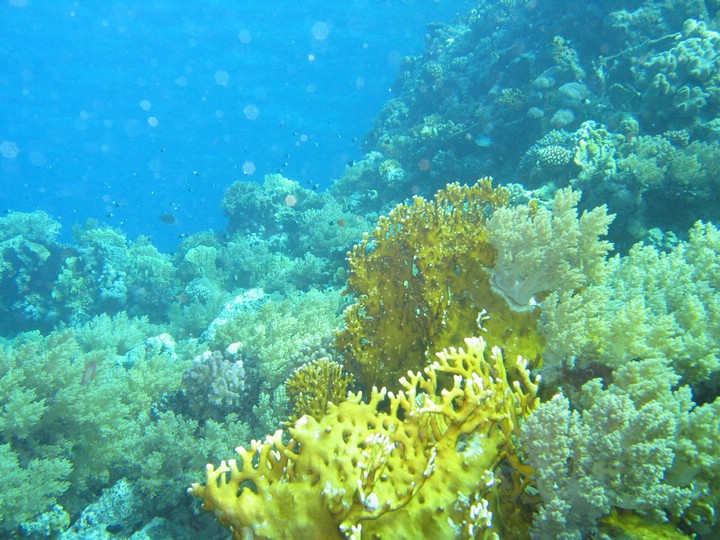 IMG_4413.JPG