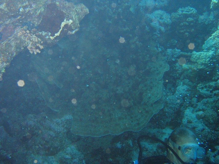 IMG_4431.JPG