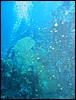 IMG_4391.JPG