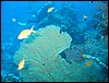 IMG_4392.JPG