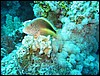 IMG_4394.JPG