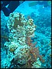 IMG_4395.JPG