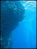IMG_4397.JPG