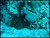 IMG_4398.JPG