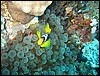 IMG_4400.JPG