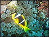 IMG_4401.JPG