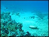 IMG_4405.JPG