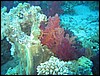 IMG_4406.JPG