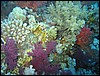 IMG_4407.JPG