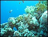 IMG_4408.JPG