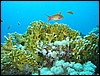 IMG_4409.JPG