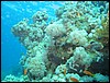 IMG_4410.JPG