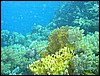 IMG_4413.JPG