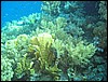 IMG_4414.JPG