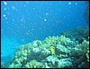 IMG_4415.JPG
