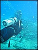 IMG_4416.JPG