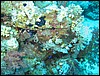 IMG_4419.JPG