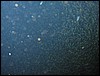 IMG_4430.JPG