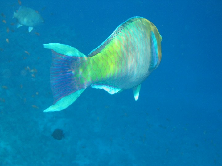 IMG_4442.JPG