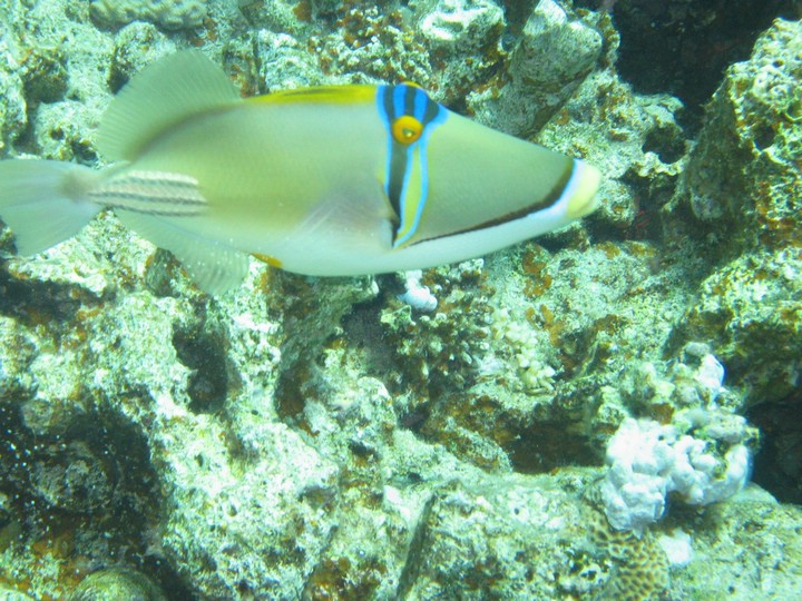 IMG_4444.JPG