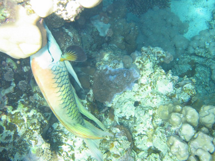 IMG_4448.JPG