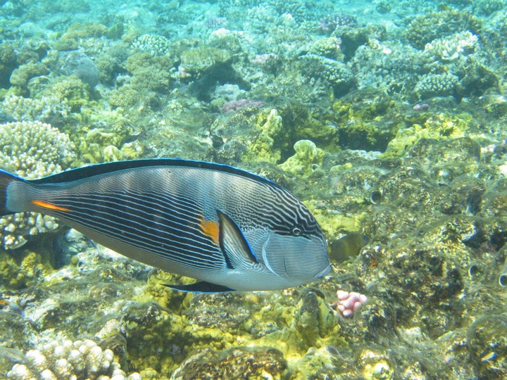 IMG_4456.JPG