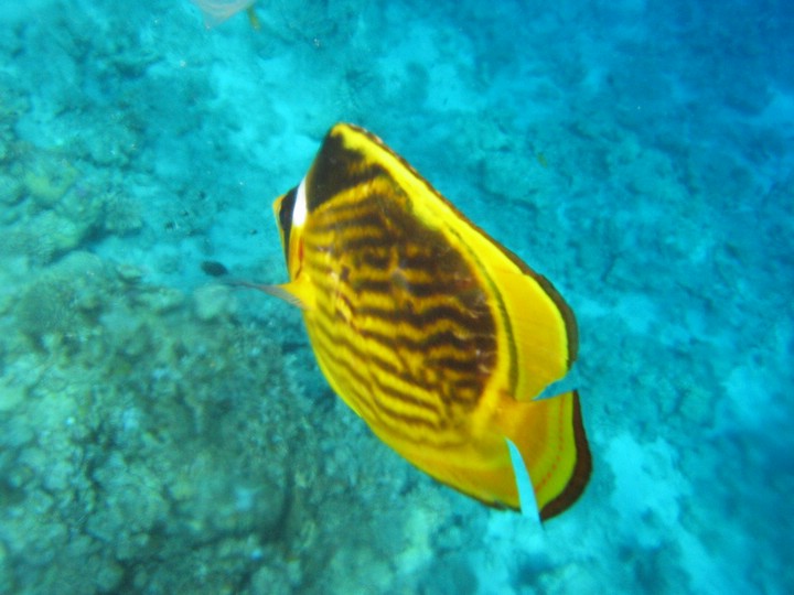 IMG_4470.JPG
