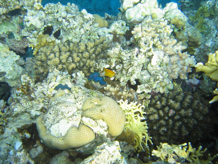 IMG_4478.JPG