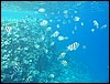 IMG_4441.JPG