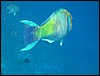 IMG_4442.JPG