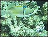 IMG_4444.JPG