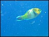 IMG_4445.JPG