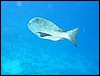 IMG_4447.JPG