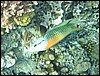 IMG_4449.JPG